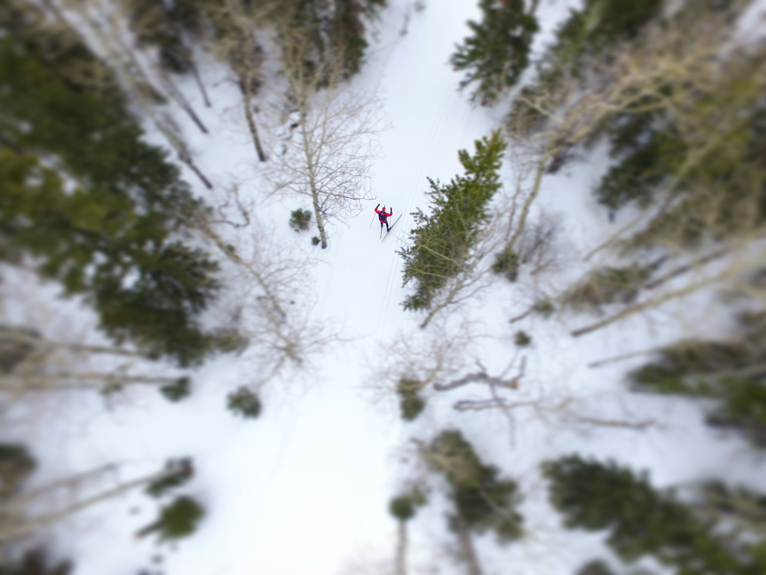 Aerial Nordic Ski Photo