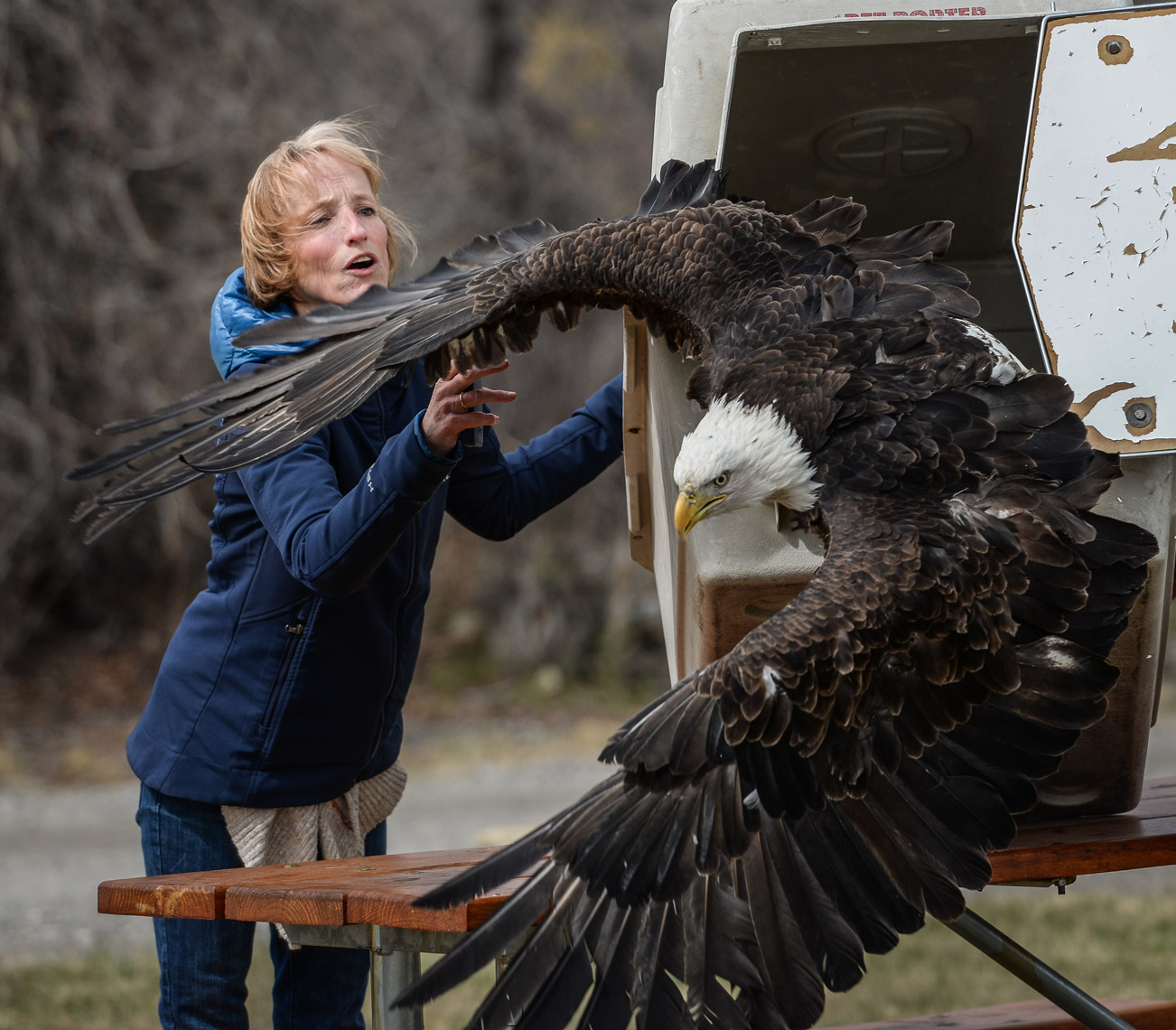 Eagle-Release_WebRes