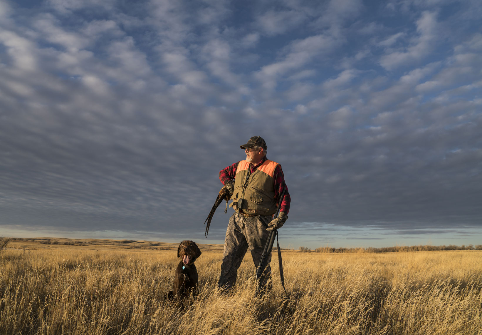 Montana-Pheasant-Hunt