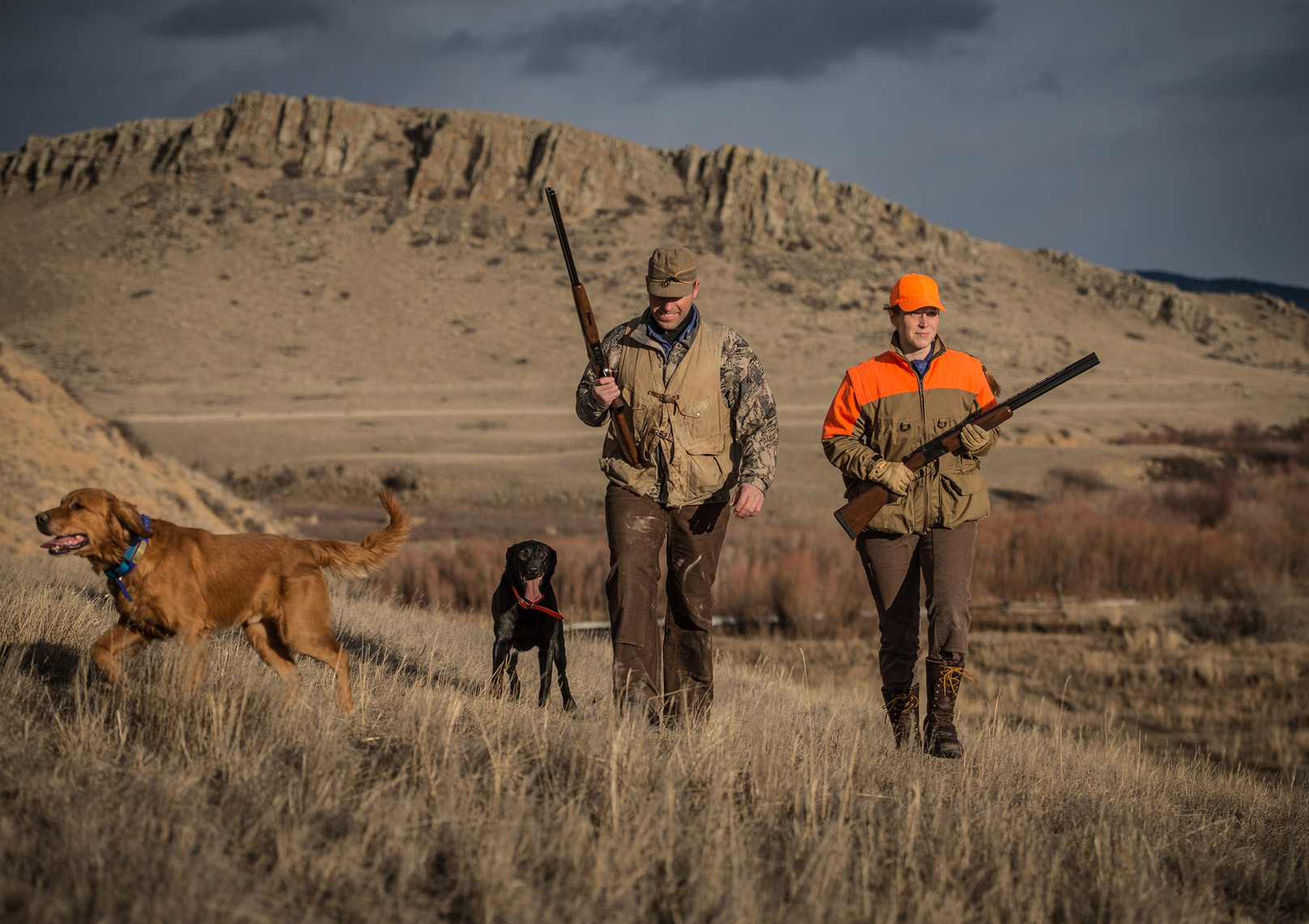 Montana Pheasant Hunt